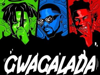 BNXN (Buju) Ft. Kizz Daniel & Seyi Vibez – Gwagalada