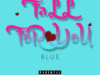 Blue Boy – Fall For You