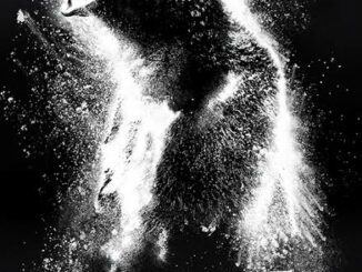 Cocaine Bear (2023) Hollywood Movie