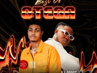 DJ OP Dot – Best Of Otega (2023 Mix)