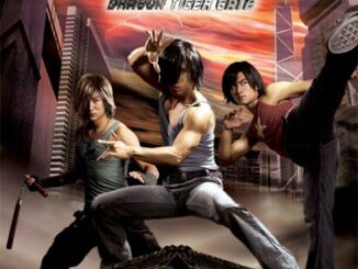 Dragon Tiger Gate (2006) - Chinese Movie