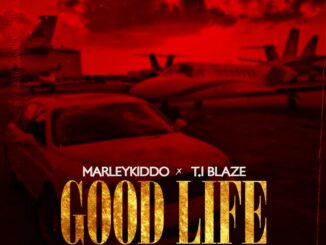 MarleyKiddo Ft. T.I Blaze – Good Life (Remix)
