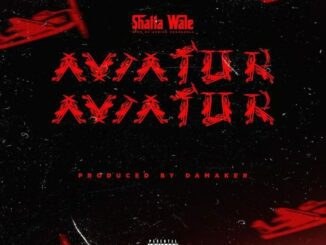 Shatta Wale – Aviator