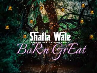 Shatta Wale – Born Great