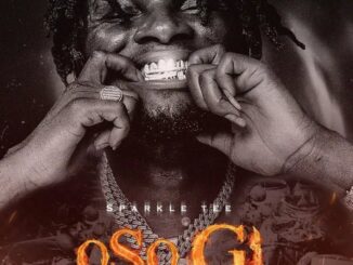 Sparkle Tee – Oso Gi