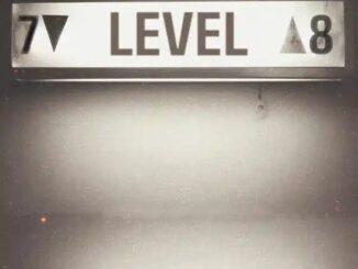 SuperWozzy Ft. Mohbad - Level