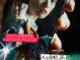 Unlocked (2023) – Korean Movie