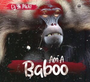 Download DJ YK Mule – Am A Baboo
