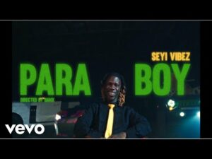 Download Seyi Vibez - Para Boi (Official Video)