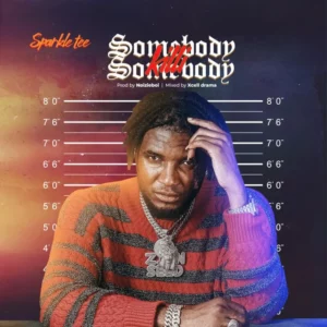 Download Sparkle Tee – Somebody Kili Somebody