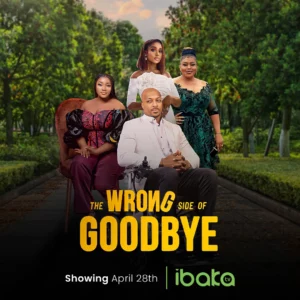 Download The Wrong Side Of Goodbye (2023) - Nollywood Movie
