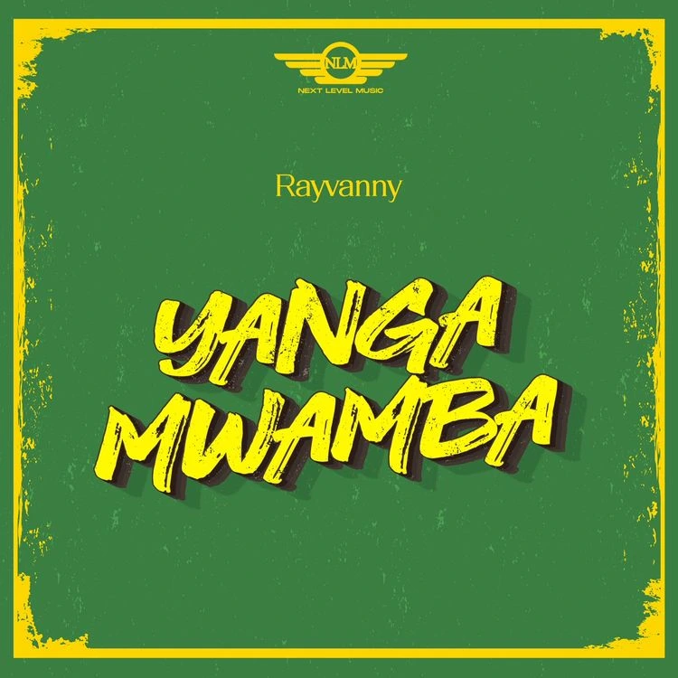Download Rayvanny – Yanga Mwamba