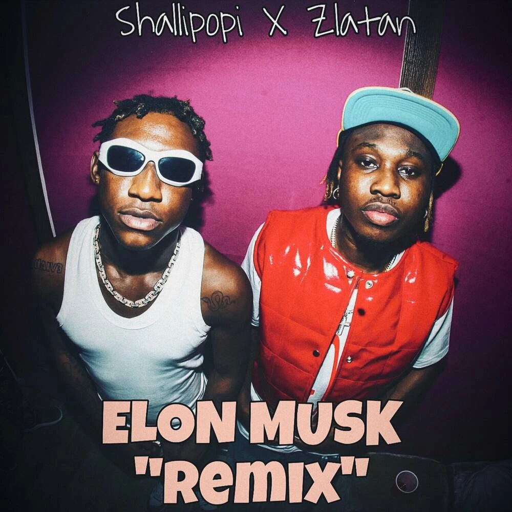 Download Shallipopi Ft. Zlatan – Elon Musk (Remix)
