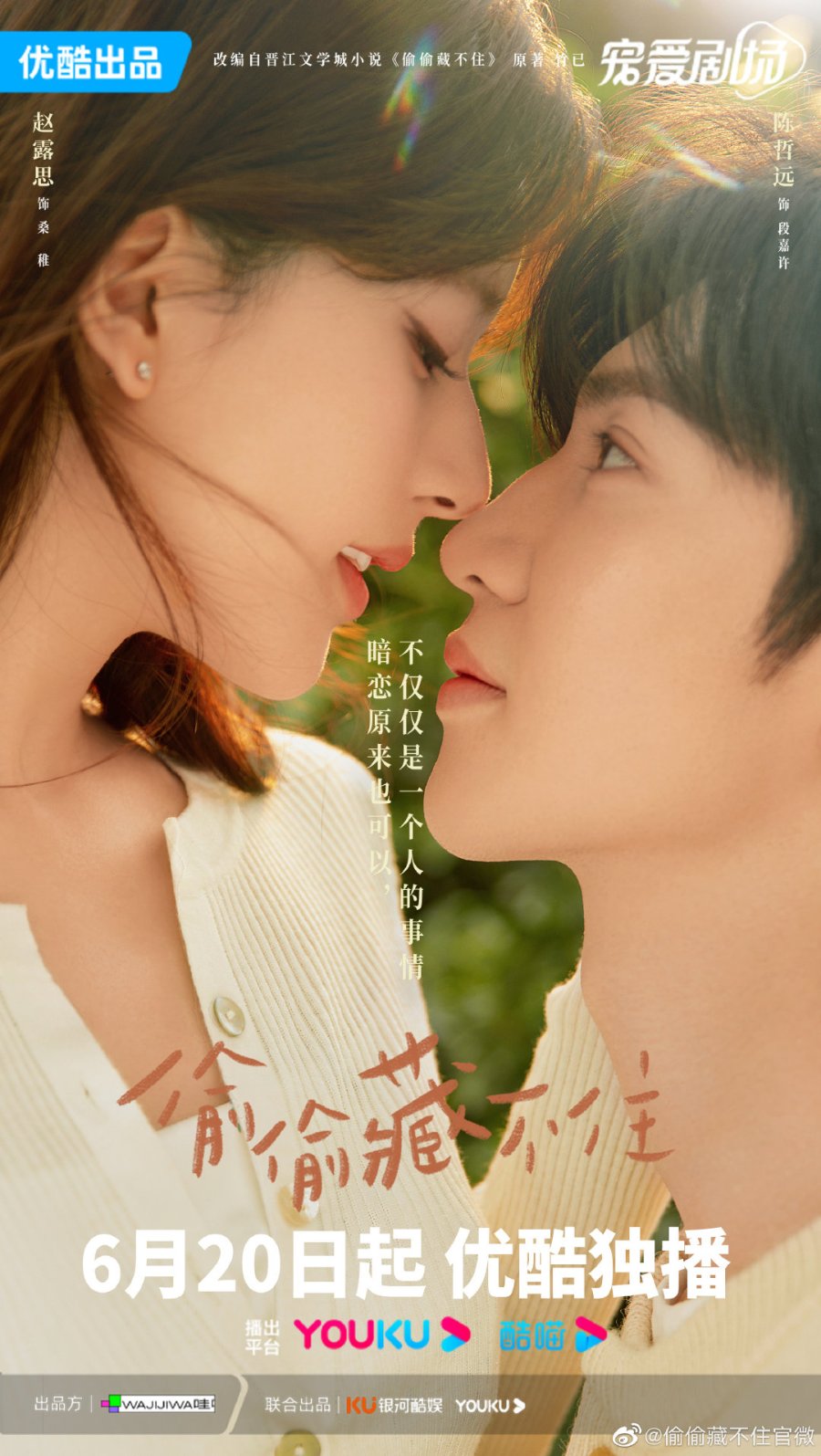 Hidden Love (2023) Season 1 Chinese Drama