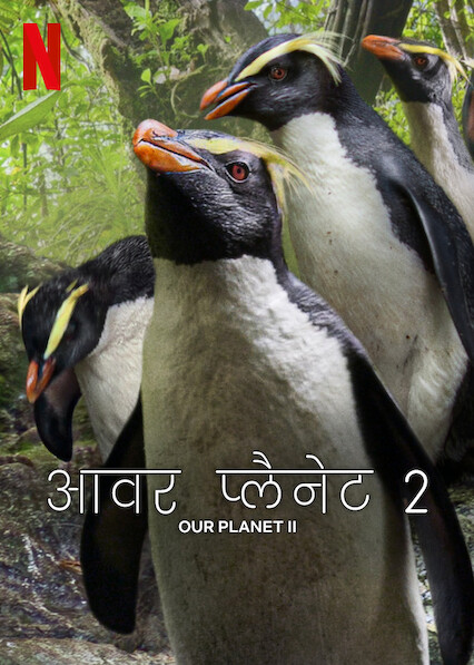 Our Planet (2023) Season 2 Animal Documentary