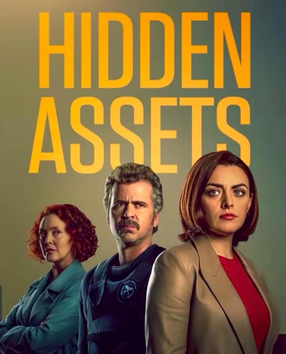 Download Hidden Assets (2023) Season 2 TV Series