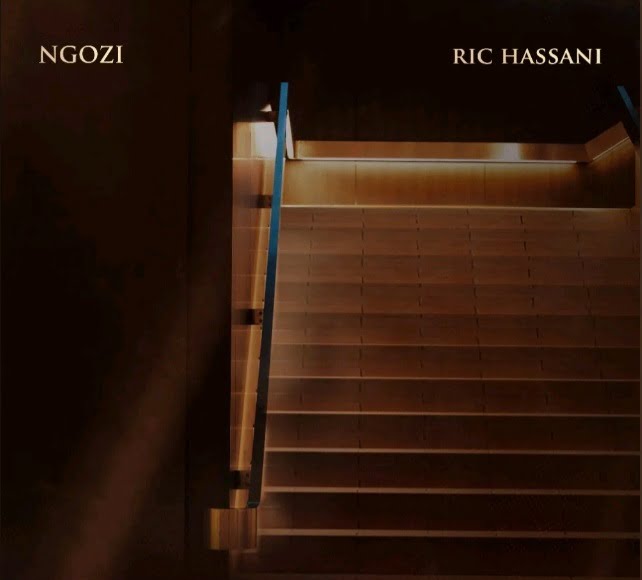 Ric Hassani – Ngozi