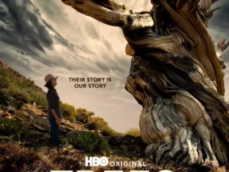 Download Trees And Other Entanglements (2023) MP4 Movie