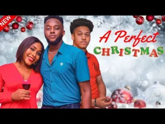 A Perfect Christmas (2023) Nollywood Movie