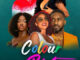 Colour Riot (2023) Nollywood Movie