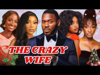 Download Diary of a Crazy wife - Nollywood Movie