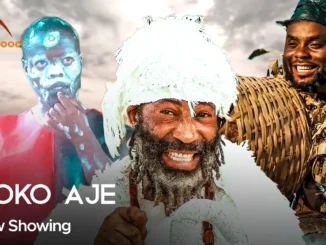 Download Ikoko Aje (2023) Yoruba Movie