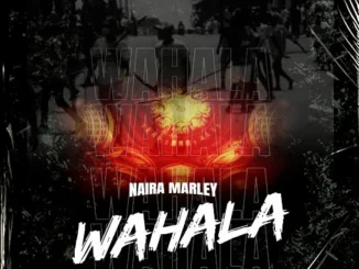 Download Naira Marley – Wahala