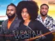 Separate Worlds (2023) Nollywood Movie