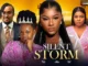Download Silent Storm (2023) Nollywood Movie