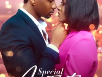 Download Special Assistant (2023) Nollywood Movie