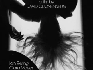 Download Stereo (2023) MP4