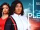 The Plea (2023) Nollywood Movie