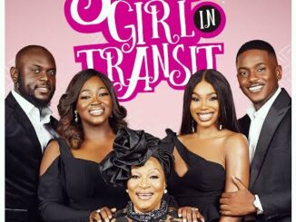 Download Skinny Girl In Transit (Season 1-3) Nollywood Series