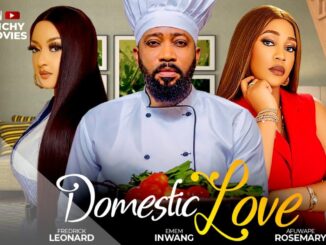 Domestic Love (2024) Nollywood Movie