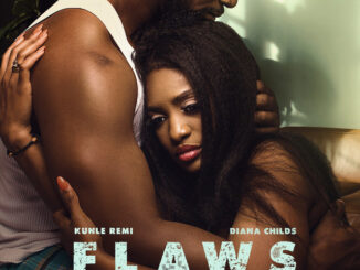 Download Flaws (2023) – Nollywood Movie