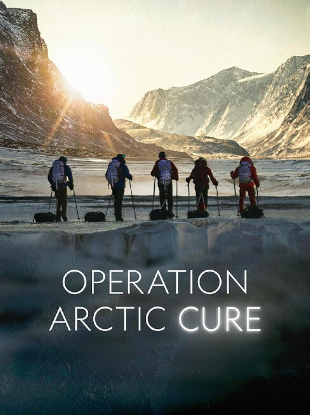 Operation Arctic Cure (2024) MP4 Movie