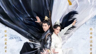 Fateful Love (2024) Season 1 Chinese Drama