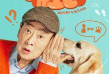 Dog Knows Everything (2024) Season 1 Korean Drama