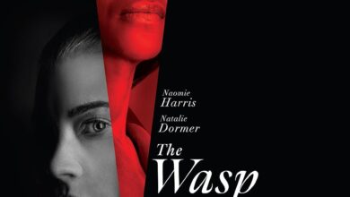 Download The Wasp (2024)