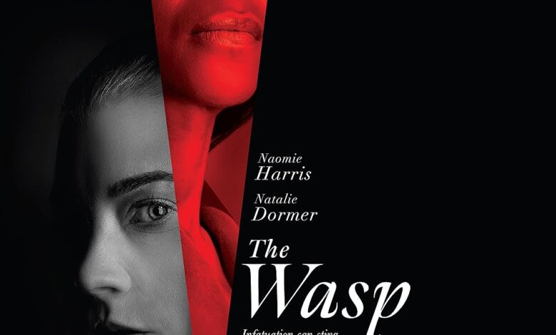 Download The Wasp (2024)