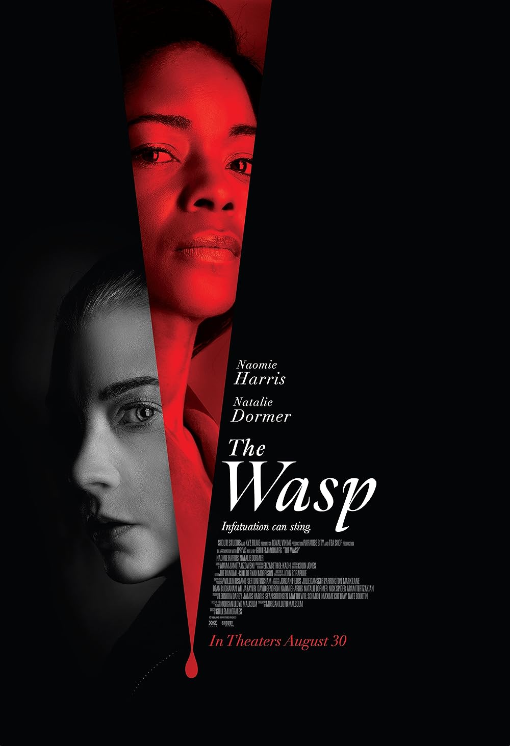 Download The Wasp (2024)