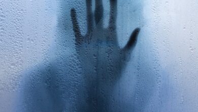 Here After (2024) MP4 Movie 