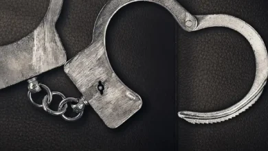 Jailbreak Love on the Run (2024)