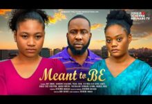 Meant To Be (2024) Nollywood