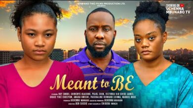 Meant To Be (2024) Nollywood