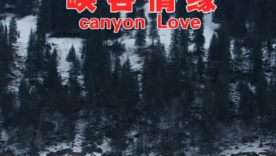 Canyon Love (2024)