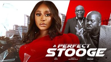 A Perfect Stooge (2024) Nollywood