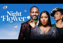 Night Flower (2024) Nollywood