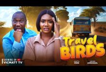Slumbering Man kicked Out Of Bus: Travel Birds (2024) Nollywood