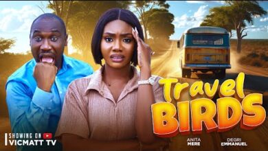 Slumbering Man kicked Out Of Bus: Travel Birds (2024) Nollywood